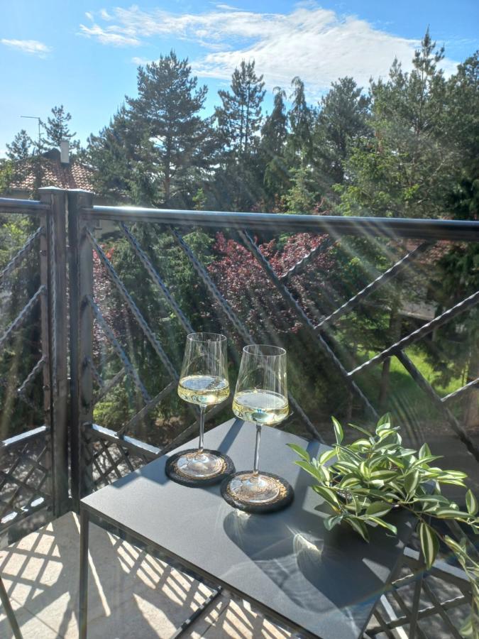 Zlatibor Apartman Luxury & Spa Dijana Luaran gambar